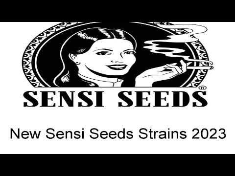 Sensi Seeds New Strains - 2023