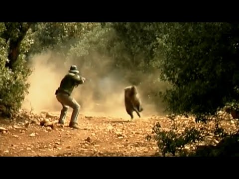 ТОП охота на кабана