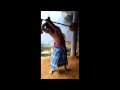 Traditional indian Gada (mace) swinging Hanuman Akhara