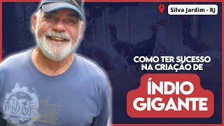 Miniatura do vídeo