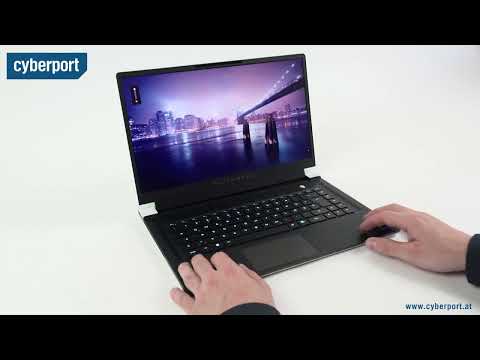 DELL Alienware x15 R1 im Test | Cyberport