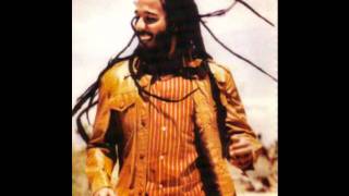 Higher Vibrations by Ziggy Marley and the Melodymakers