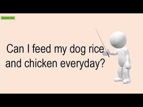 Can I Feed My Dog Rice And Chicken Everyday?