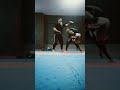 Kickboxing Combo with sprawl