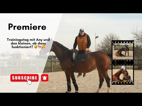 Trainingstag mit Any und den kleinen, ob dass funktioniert? 😅🐎🥰