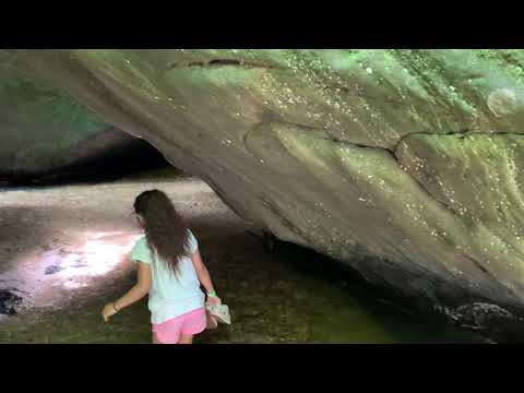 The Dismals, Al part 1