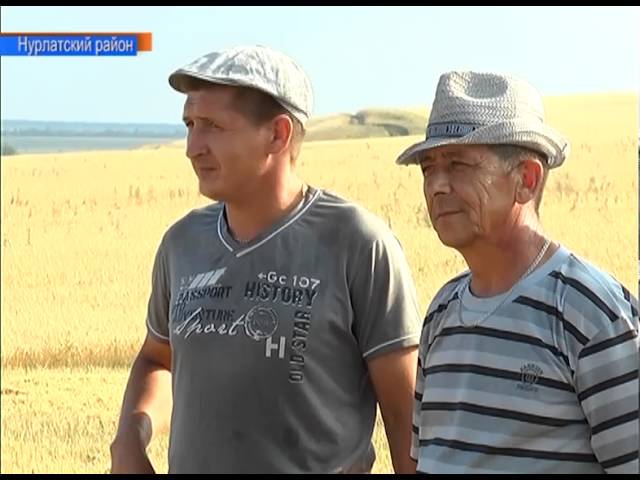 В Татарстане эффективная модель агропромышленного комплекса