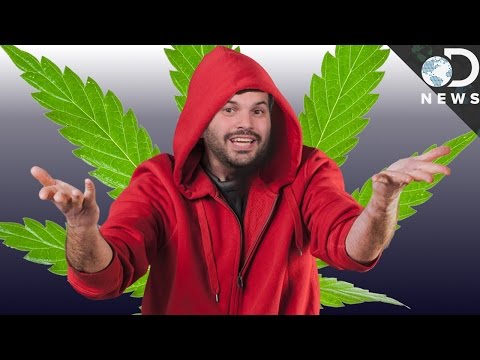 大麻で負け組になるのか？必ずしもそうではありません。 (Does Marijuana Make You A Loser? Not Necessarily.)