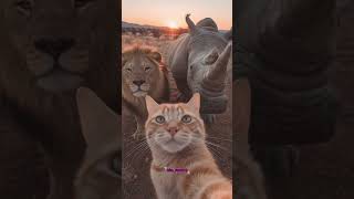 Download lagu Meng yang sopan sama yg tua di belakang😄#animal #animals #educationalvideos #education #funny #cat mp3 Download lagu Meng yang sopan sama yg tua di belakang😄#animal #animals #educationalvideos #education #funny #cat mp3