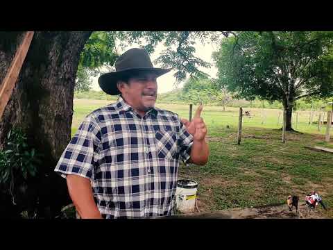 Que Vuelvan  Aquellos Tiempos - Villamil Torres "El Azulejo del Llano"