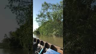 Floating Market Can Tho VIetnam #floatingmarket #cầnthơ #mekongriver #agreesaagri #shorts