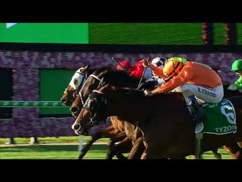 2020 Stradbroke Handicap | Tyzone