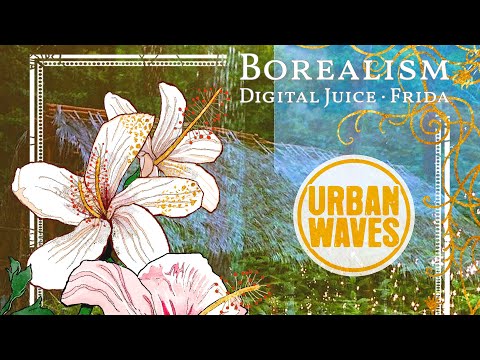 Borealism - Digital Juice & Frida