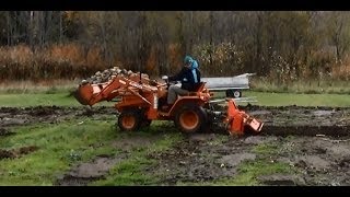 Rototilling Duck Feces Into The Garden Before Winter #88 Heirloom Organic Vegetable Garden