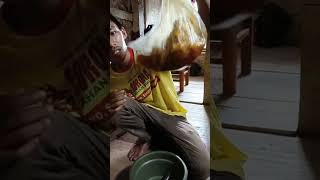 Download lagu honey and poison #shortsvideo #honeybeesting mp3 Download lagu honey and poison #shortsvideo #honeybeesting mp3