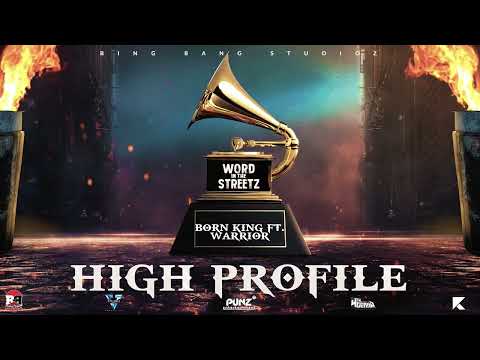 Born King ft. Warrior - High Profile (Visualizer)