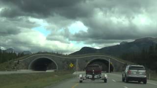 More Than You&#39;ll Ever Know - Watermark - (w/lyrics)