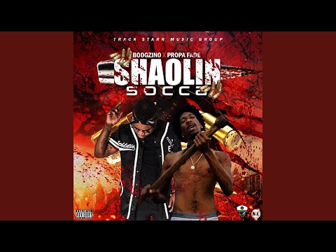 Shaolin Soccer (feat. Propa Fade)
