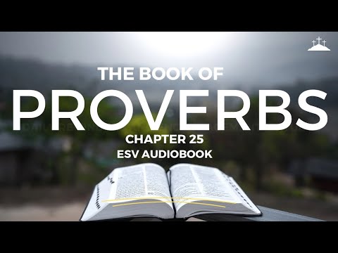 DAILY MOTIVATION | ESV AUDIOBOOK | START YOUR DAY | PROVERBS 25