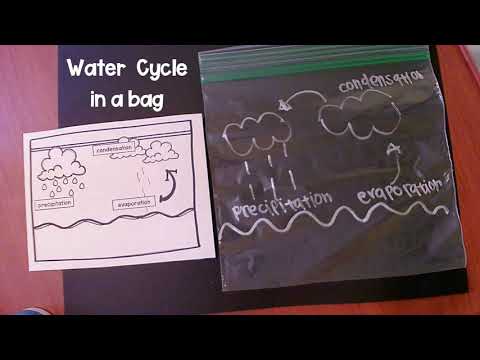 Water Cycle in a Bag