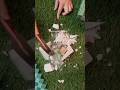 Play Video Thumbnail