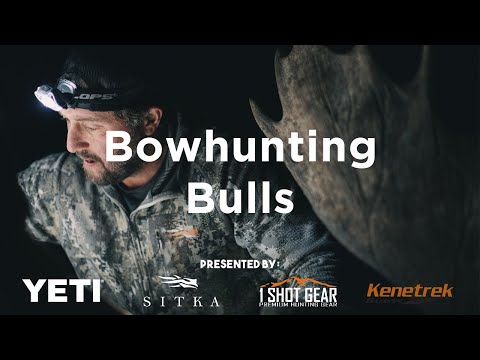 Season 4 Episode 6: Bowhunting Bulls