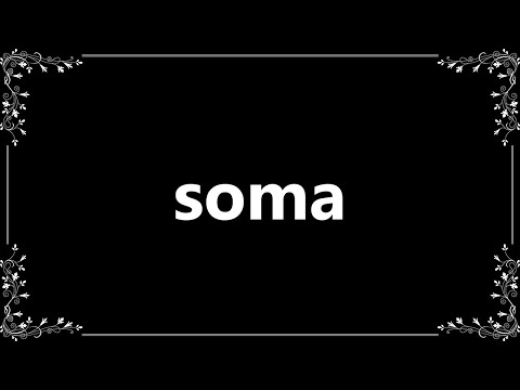 Soma - Definition and How To Pronounce
