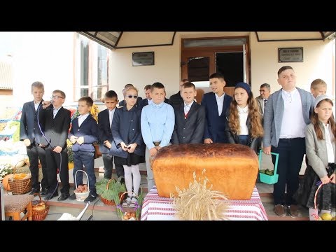 Roadele · Poem pentru copii de Ziua Mulțumirii