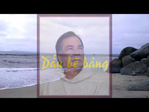 Dấu bẽ bàng Sheet - Nhất Chi Mai