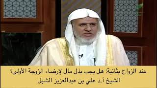 صورة أ.د. علي الشبل | هل يجب بذل مال لإرضاء الزوجة الأولى؟