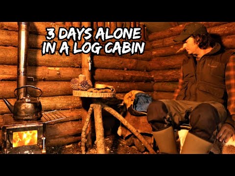 3 Day Solo In A Off Grid Log Cabin | Wood Stove | Deer Skin Bed | Axe | Bushcraft Woodland Project