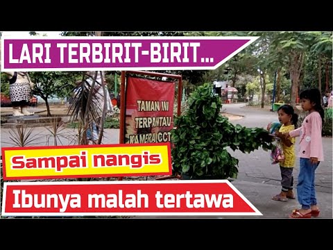 taman-kota-andhang-pangrenan-bushman-prank-manusia-pohon