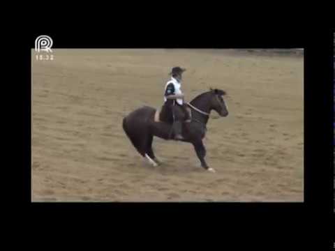 Grande Final – 3° lugar machos – PN Cambiasso