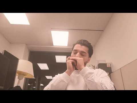 Beatbox Harmonica at work (original)
