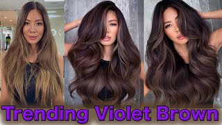 Trending Violet Brown / Reflect V (Violet) series