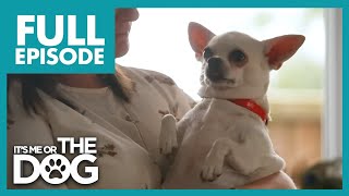 Thumbnail del capítulo