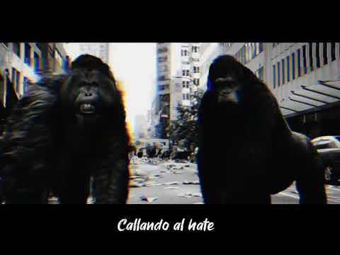 ZETA DISTORSIÓN- MACHINE