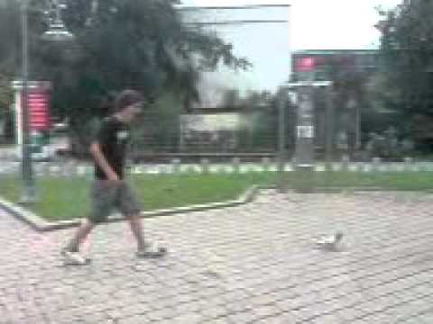 Domme- der Taubenflüsterer :D :D