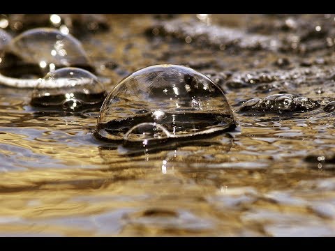 Inner Management, Sadhguru