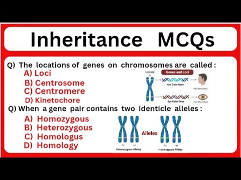 Inheritance MCQs Part 2||GeneticsMCQs ||BiologyMCQs ||InheritanceQuestions ||mcq on inheritance