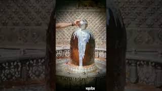 Download lagu Prabhu Mere Man Ko Bana De Shivala || Om namo shivaye || #whatsapp#status#morning mp3 Download lagu Prabhu Mere Man Ko Bana De Shivala || Om namo shivaye || #whatsapp#status#morning mp3