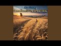 Somewhere in the Wheat Fields