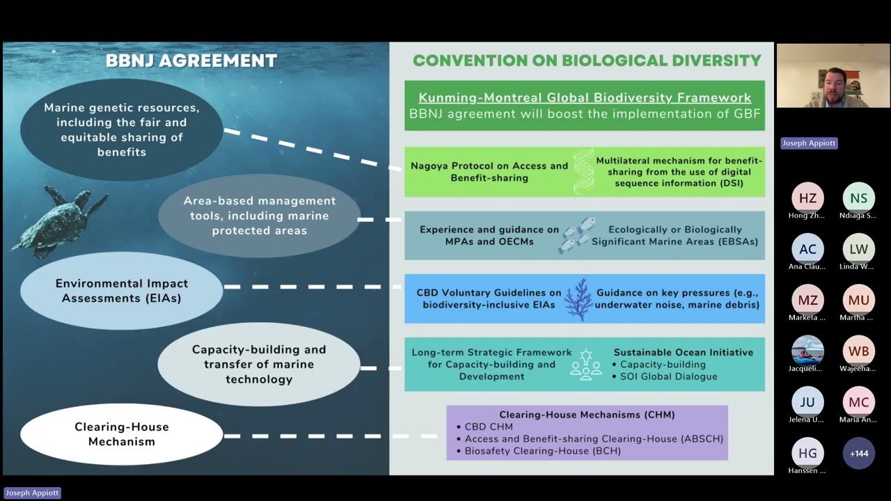 Webinar on the Outcome of the Expert Workshop on Work under the CBD Relevant to Biodiversity in ABNJ
