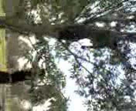 ivdel en el metropolitano