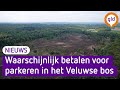 Vanaf volgend jaar betalen voor parkeren in het Veluwse bos