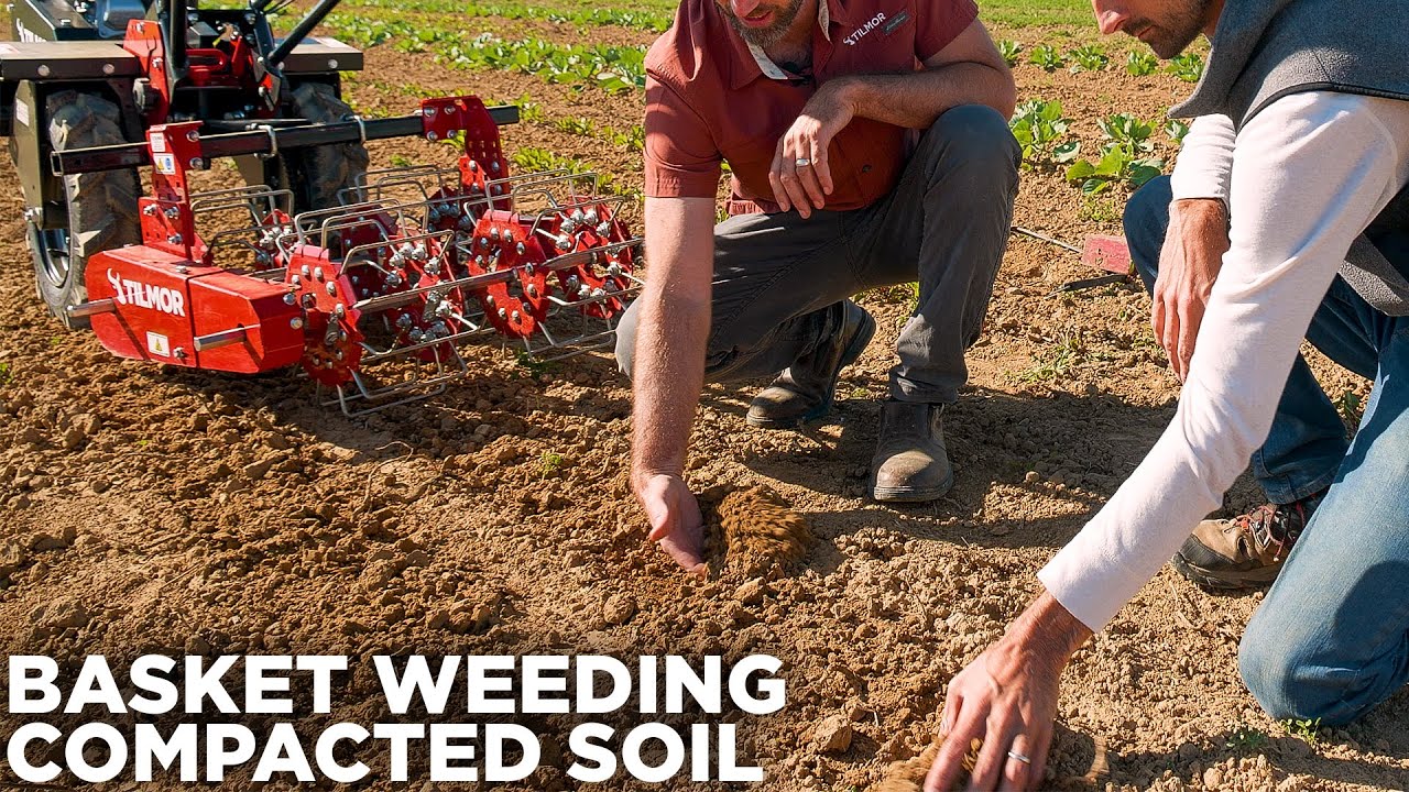Why Weight? Increase Effectiveness Of The Basket Weeder In Hard Soil