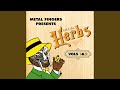 Fenugreek