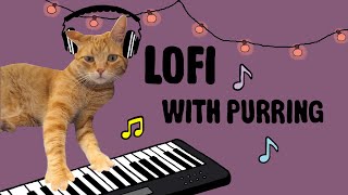 CAT TV - Lofi with Cat Purring pt.II CATFI
