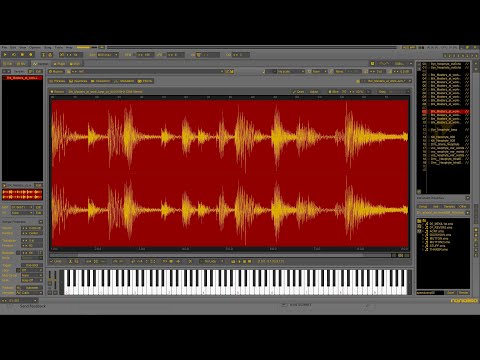 Medonist - Speedcomp 56 [10 samples ≈ 30 minutes] made in Renoise. Samples by PƎTER
