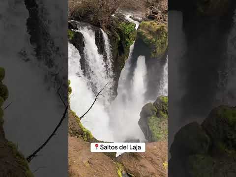 Saltos del laja